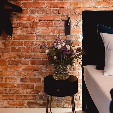 Penthouse Cafe & Vana & Panorama 公寓 俄斯特拉发