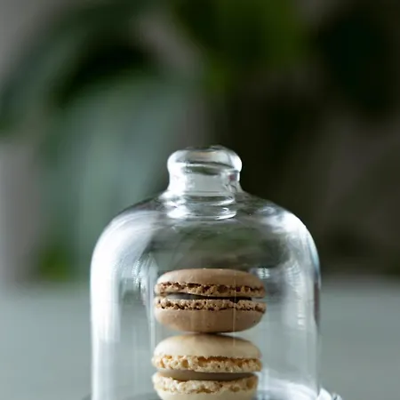 Penthouse Cafe & Vana & Panorama 公寓 俄斯特拉发