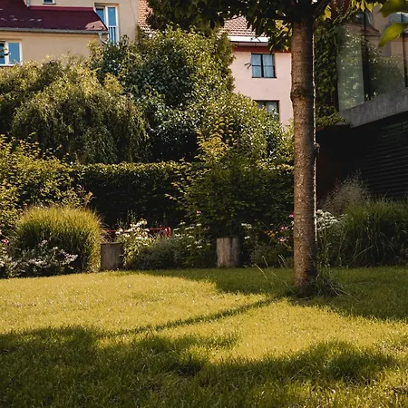 Penthouse Cafe & Vana & Panorama