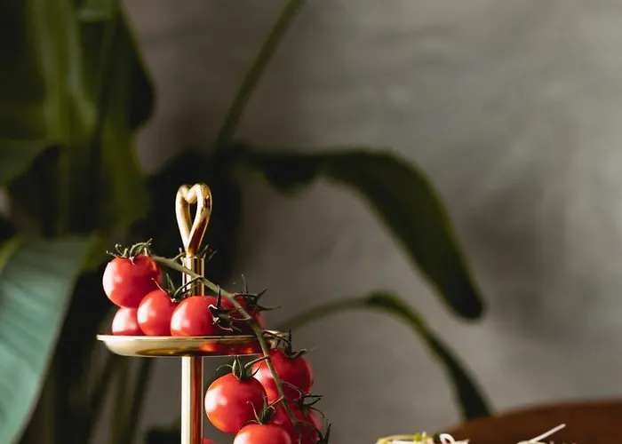 Penthouse Cafe & Vana & Panorama * Ostrava