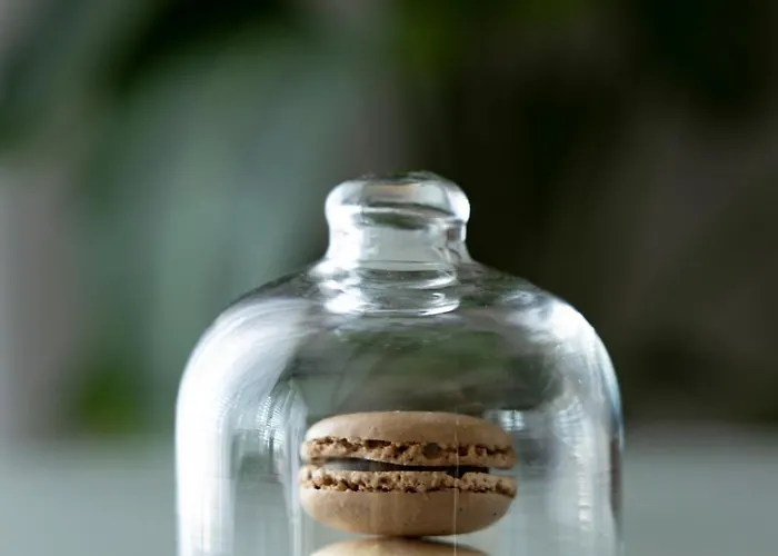 Penthouse Cafe & Vana & Panorama Апартаменты Острава